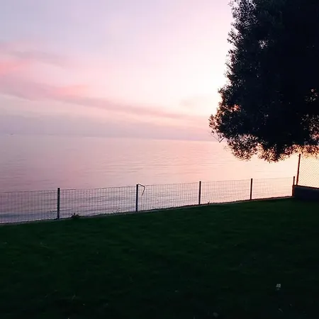 فيلة White Paradise *