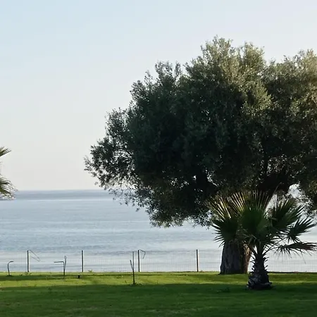 White Paradise فيلة نيا سكيوني