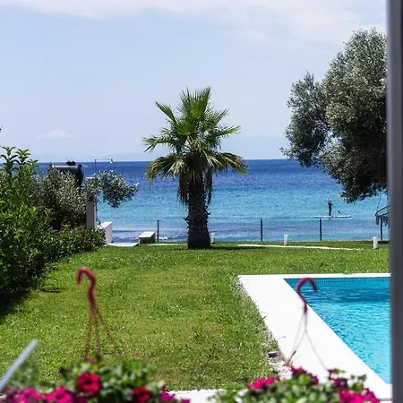 فيلة White Paradise نيا سكيوني