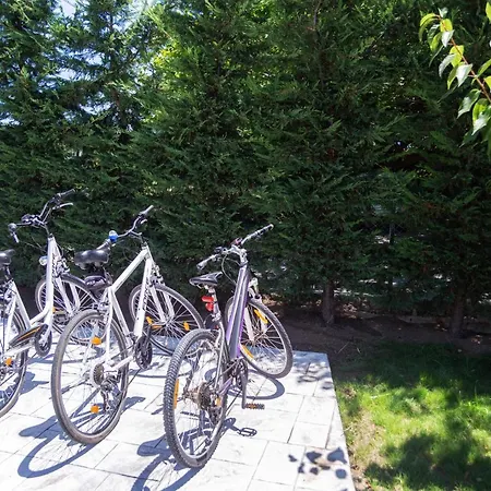 فيلة White Paradise نيا سكيوني