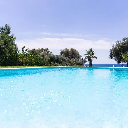 White Paradise نيا سكيوني