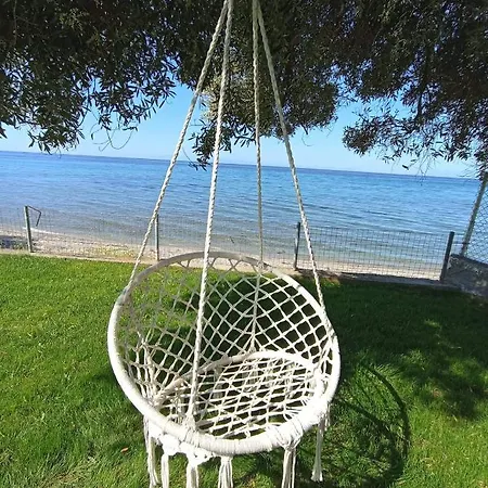 White Paradise * نيا سكيوني