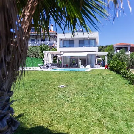 فيلة White Paradise *