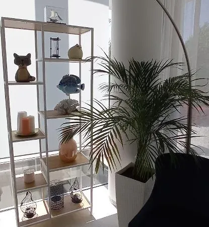 Вилла White Paradise *