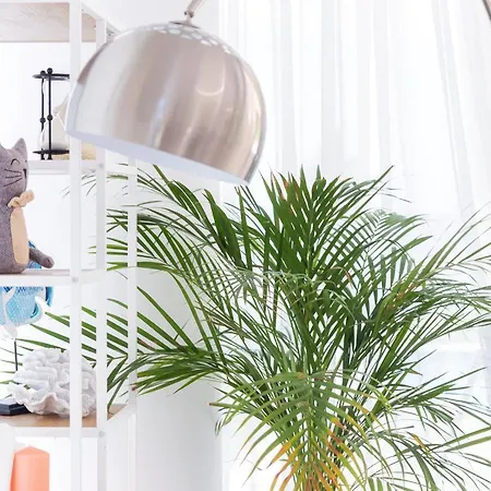 White Paradise Вилла Неа-Скиони