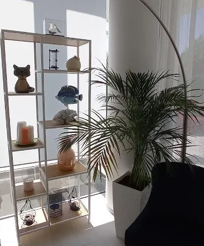 빌라 White Paradise *