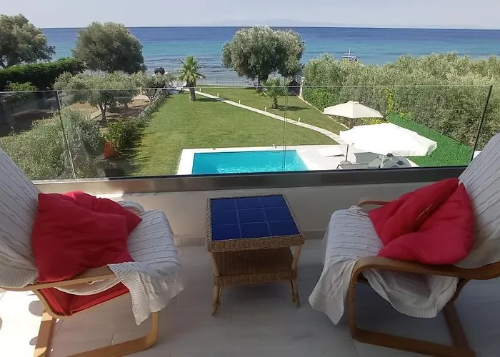 White Paradise 네아 스키오니