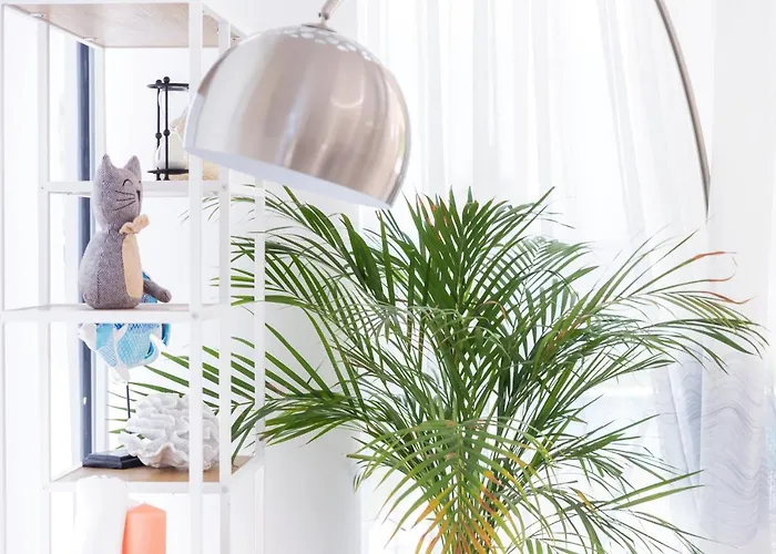 White Paradise 빌라 네아 스키오니