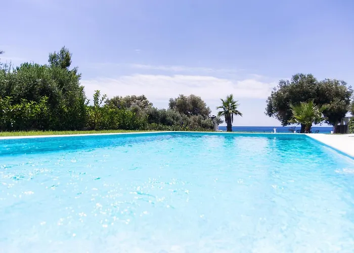 White Paradise 네아 스키오니