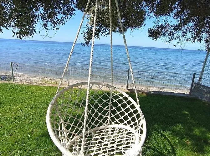 White Paradise * 네아 스키오니